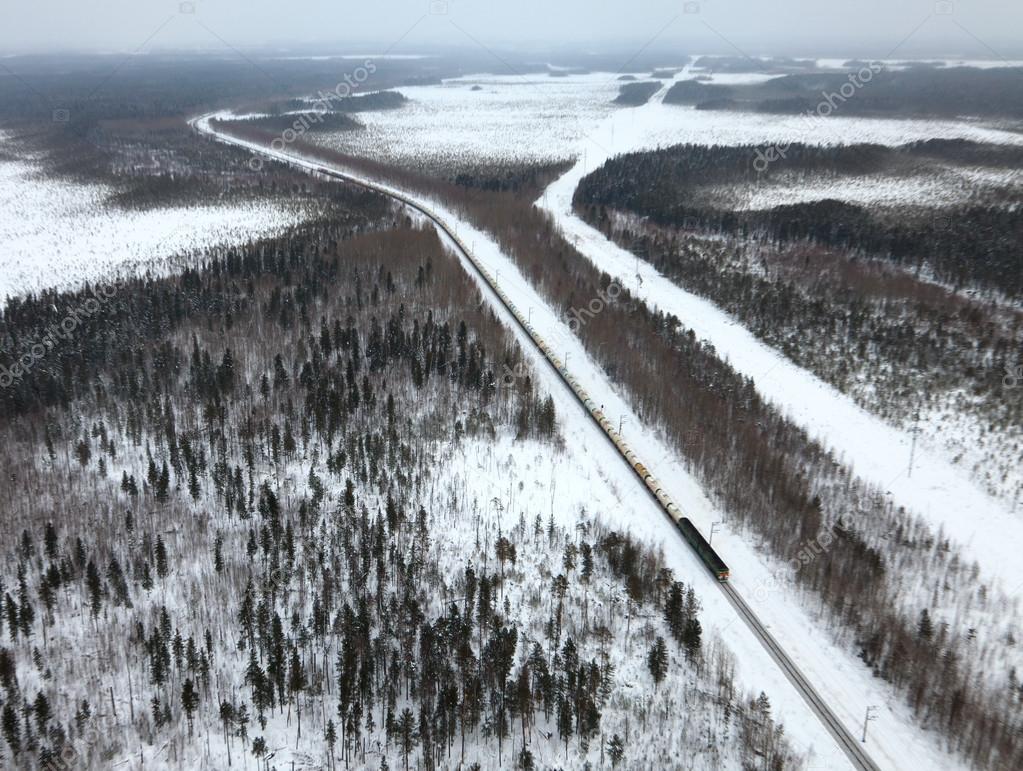 Aerial view of pine forest during a winter day.