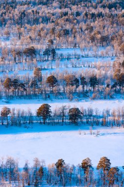 Aerial view of the winter forest clipart