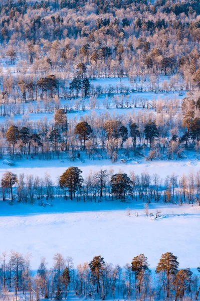 Letecký pohled na zimní les — Stock fotografie