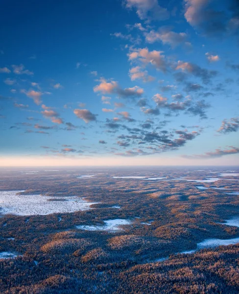 Foto aérea da floresta no inverno dia gelado — Fotografia de Stock