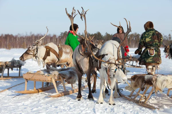 Khanty mannen tijdens de vakantie rendieren herder — Stockfoto