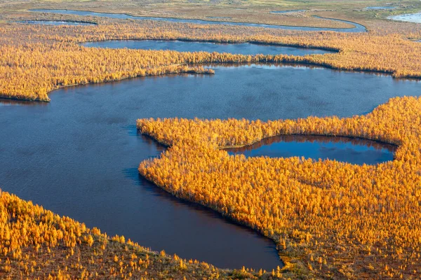 Aerial View Fores Lake Autumn Day — Stock Photo, Image