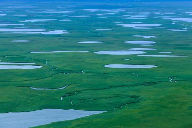 Creek Güz sular altında çayırda havadan görünümü