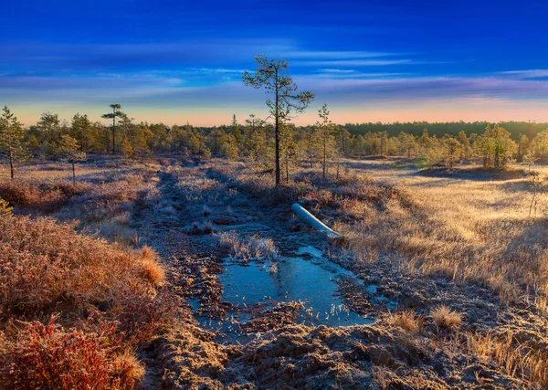 秋の霜の日にタイガの湿地を通る田舎道 — ストック写真