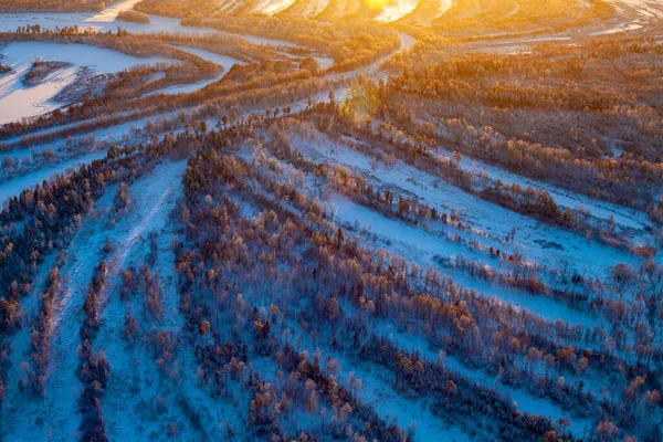 Soğuk Bir Akşamda Sibirya Nehrinin Taşkın Ovasındaki Bir Kış Ormanının — Stok fotoğraf