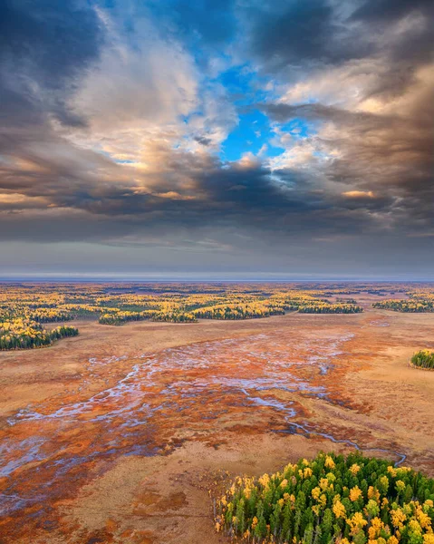 シベリア北部の秋の湿原のカラフルな空の景色 — ストック写真