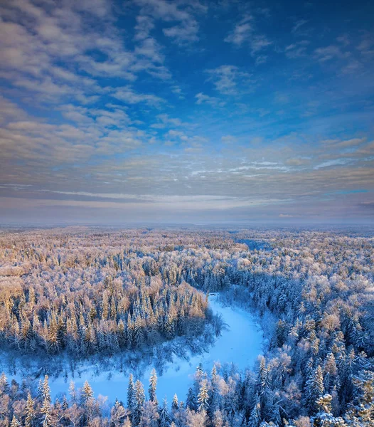 Widok Powietrza Rzekę Las Mrozie Mroźny Zimowy Dzień Zimowy Las — Zdjęcie stockowe