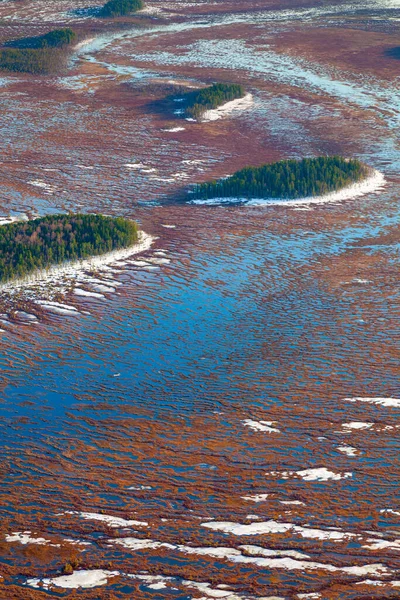 Aerial View Impassable Marshes Early Spring — Stock Photo, Image