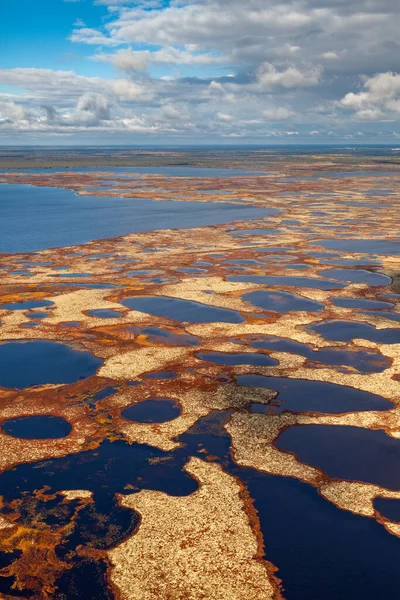 Flygfoto Över Tundran Höst Marsh Med Vatten Molnig Himmel — Stockfoto