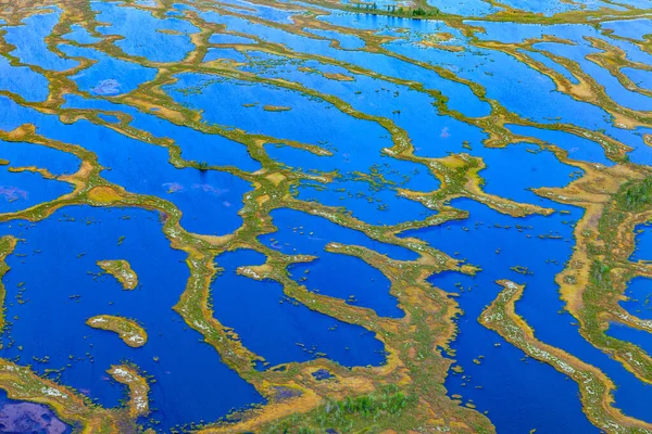 Vzdušný pohled na bažinatá jezera jako fraktály Royalty Free Stock Obrázky