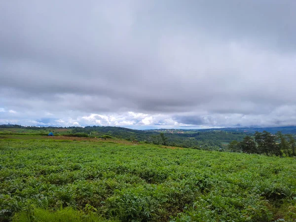 朝は雲の多い里の緑の農場の風景 — ストック写真