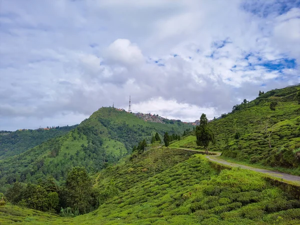 Vista Giardino Con Strada Isolata Che Conduce All Immagine Montagne — Foto Stock