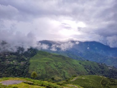 Tepeden yukarıya doğru dramatik gökyüzü olan yeşil dağ Darjeeling Batı Bengal Hindistan 'da çekilmiştir..