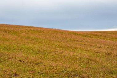Sarı çimen dağları ve düz gökyüzü farklı açılardan çekilen görüntü latilum zirvesi olan Meghalaya Hindistan 'da çekilmiştir..
