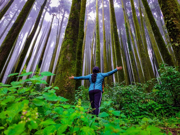 Giovane Ragazza Pineta Foresta Con Sfondo Nebbia Bianca Disinnescata Mattino — Foto Stock