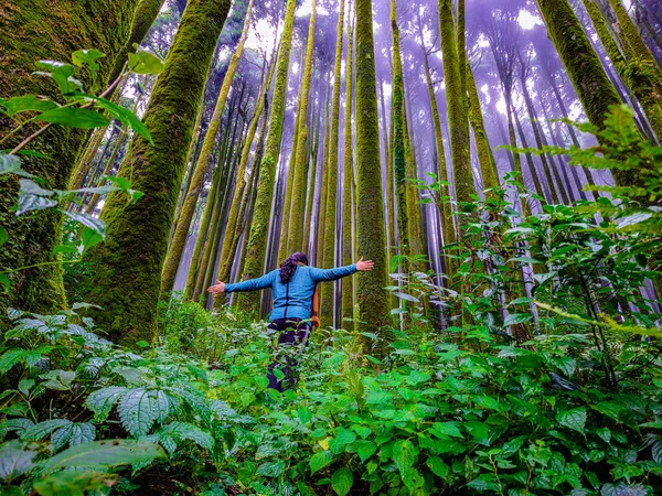 Giovane Escursionista Ragazza Pineta Foresta Con Bianco Disinnescato Nebbia Sfondo — Foto Stock