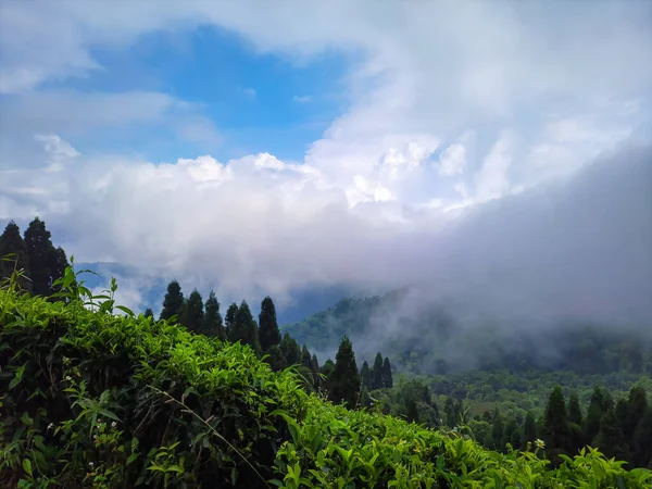朝の画像では青い空と濃い雲の緑の山の谷が西ベンガル地方のダージリンで撮影されます — ストック写真