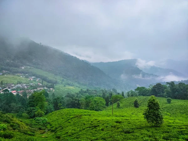 Jardín Cordillera Brumosa Increíble Paisaje Cubierto Niebla Imagen Mañana Toma — Foto de Stock