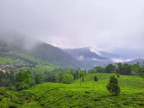 Teegarten Bei Nebligen Bergkette Erstaunliche Landschaft Mit Nebel Morgen Bild — Stockfoto