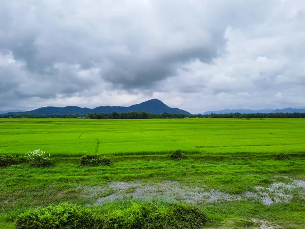 グワハティ アッサム インディアでは朝の画像に劇的な空と山の背景を持つ緑豊かな農業地帯が撮影されています — ストック写真