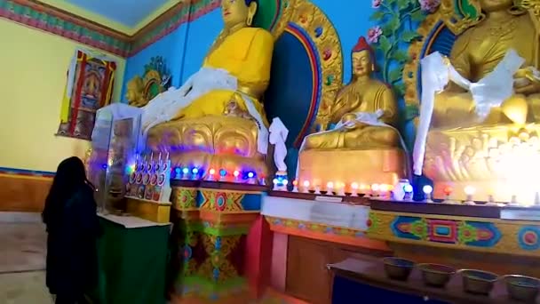 Mädchen Betet Alten Buddhistischen Kloster Buddha Statue Aus Niedrigem Winkel — Stockvideo