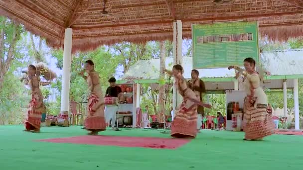 Giovani Ragazze Che Eseguono Autentica Danza Classica Indiana Tradizionale Indossare — Video Stock