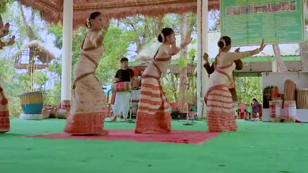 Meninas Realizando Autêntica Dança Clássica Indiana Tradicional Vestindo Festival — Vídeo de Stock