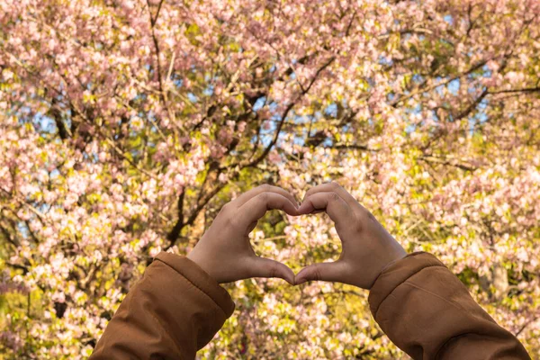 girl showing hand signs about cherry flowers view at afternoon with blurred background