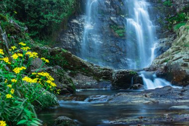 Şelale ormandaki kayaların arasından akar bulanık su yüzeyi ile uzun pozlu çekim görüntüsü Thangsning Falls Meghalaya Hindistan 'da çekilir..