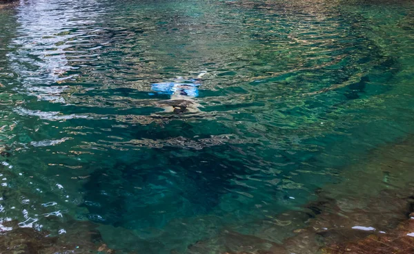 Joven Nadando Bajo Agua Agua Clara Cascada Natural Mañana Desde —  Fotos de Stock