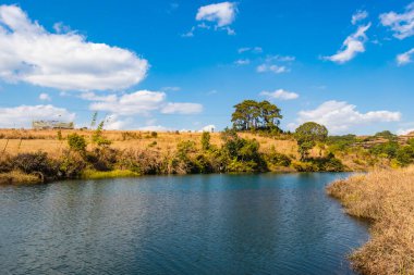 Nehir kenarındaki sarı çimen kırsal alanda sabah düz bir açıyla açık mavi gökyüzü