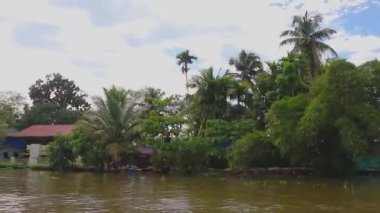 Alappuzha ya da Alleppey kerala Hindistan 'da çekilen düz açılı videodan sabah palmiye ağacıyla deniz kenarındaki ücra bir köyde..