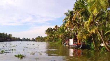 Alappuzha ya da Alleppey kerala Hindistan 'da çekilen sabah videolarında palmiye ağacı ve inanılmaz gökyüzü ile deniz kenarı..
