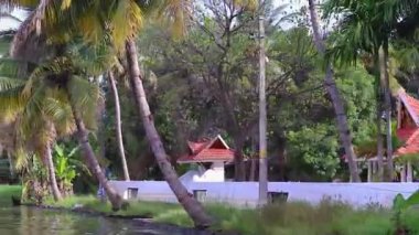 Alappuzha ya da Alleppey kerala Hindistan 'da çekilen düz açılı videodan sabah palmiye ağacıyla deniz kenarındaki ücra bir köyde..