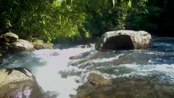 Cascata Che Scorre Acqua Che Scorre Veloce Attraverso Roccia Foresta — Video Stock