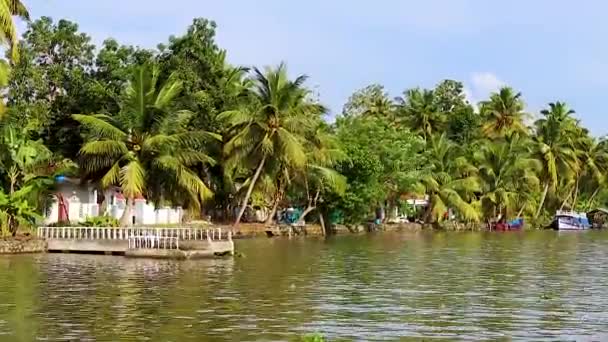 ヤシの木と海の背水の端にあるリモート村午前中にフラット角度ビデオからAlappuzhaまたはAllepy背水Keralaインドで撮影 — ストック動画