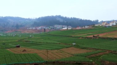 Ooty Tamilnadu Hindistan 'da çekilen dağ ve düz arkaplan görüntüleriyle kırsal tarım alanı..