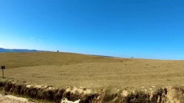Sarı çayır dağı, parlak mavi gökyüzü sabah düz açıyla