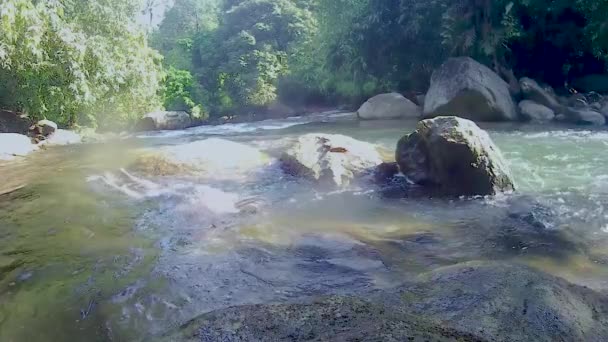 Giovane Che Bagna Cascata Che Scorre Acqua Nella Foresta Angolo — Video Stock