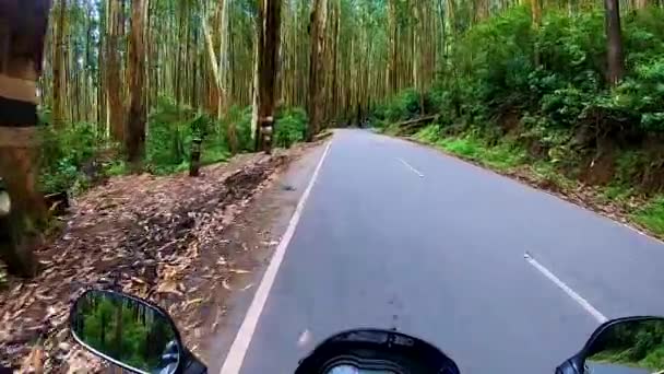 Motocykl Ridding Asfaltové Silnici Borovém Lese Jezdeckého Úhlu — Stock video