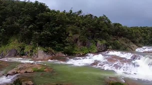 Cascada Que Cae Agua Las Rocas Rodeado Bosques Verdes Video — Vídeos de Stock