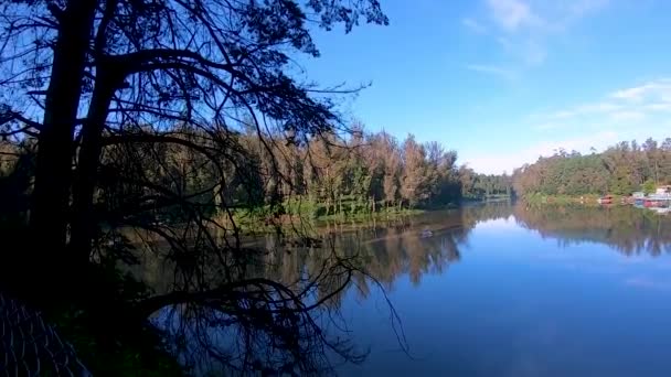 Нетронутое Спокойное Водное Озеро Отражением Успокаивающего Голубого Неба Окружении Зеленых — стоковое видео