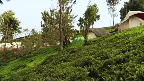Chá Jardim Montanha Topo Acampamento Manhã Ângulo Plano Vídeo Tirado — Vídeo de Stock