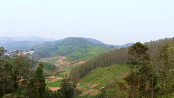 Ooty Tamilnadu Hindistan Sabah Çekilen Kırsal Tarım Tarlası Manzaralı Çay — Stok video