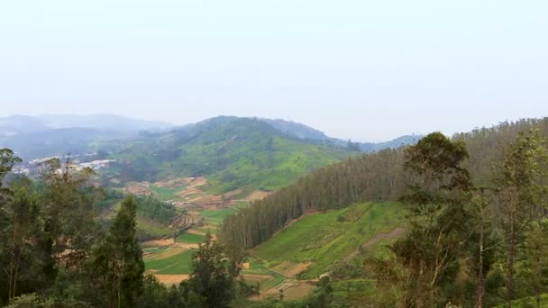 Jardin Thé Vue Sur Montagne Avec Campagne Champ Agricole Matin — Video