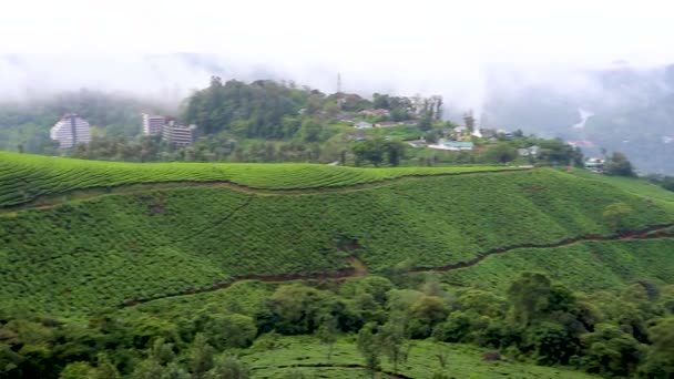 Горі Хмарним Небом Знятим Ранковому Відео Munnar Kerala India — стокове відео