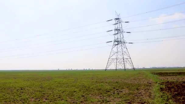 Elektrik Nakil Hattı Uzak Kırsal Alandaki Tarım Arazisinden Geçiyor — Stok video