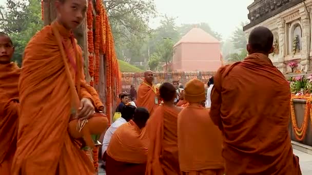 2020年2月11日 インドのマハーボディ寺院で撮影された平らな角度のビデオから 毎日の祈りのために寺院に入る仏教の僧侶 — ストック動画