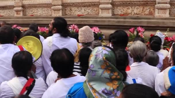 Buddhista Bhakta Sokan Fizetnek Templomban Nap Csúcsszögből Videó Készült Mahabodhi — Stock videók