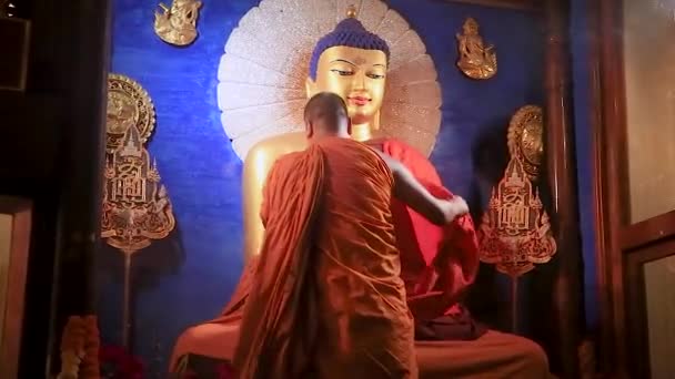 Golden Buddha Statue Monk Doing Daily Religious Ritual Flat Angle — Stock Video